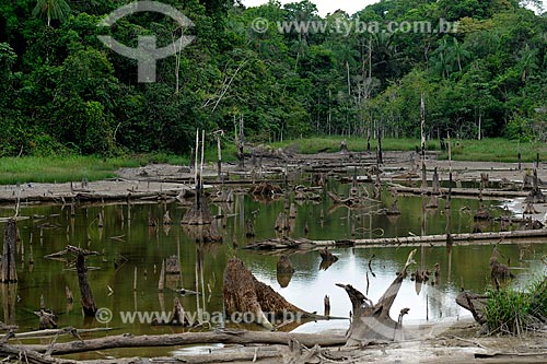  Subject: Igarape dry the edge of Highway AM-070 / Place: Manacapuru city - Amazonas state (AM) - Brazil / Date: 11/2010 