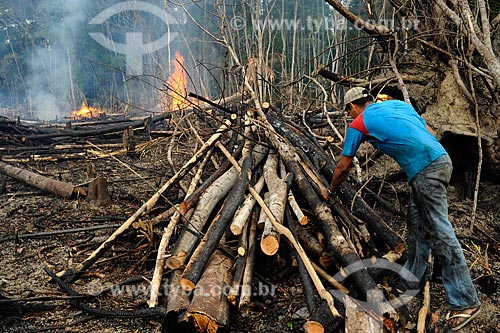  Subject: Man arranging trunks for burned the edge of Highway AM-352 / Place: Novo Airão city - Amazonas state (AM) - Brazil / Date: 11/2010 