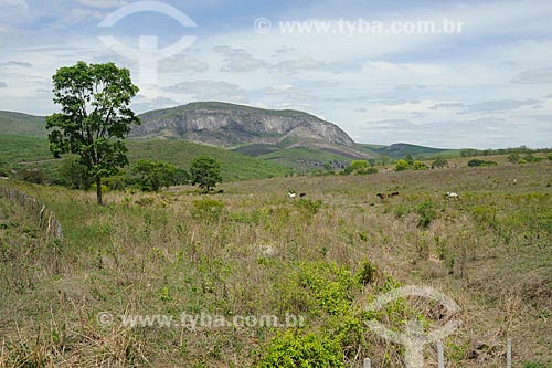  Subject: Landscape of Jequitinhonha Valley / Place: Coronel Murta city - Minas Gerais state (MG) - Brazil / Date: 11/2011 