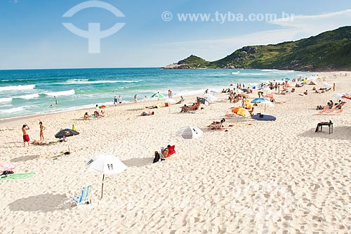  Subject: Mole Beach - one of the most crowded beaches of Island of Santa Catarina during summer season / Place: Florianopolis city - Santa Catarina state (SC) - Brazil / Date: 12/2011 