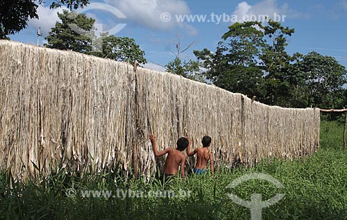  Subject: Jute fiber drying under sun heat / Place: Manacapuru city - Amazonas state (AM) - Brazil / Date: 01/2012 