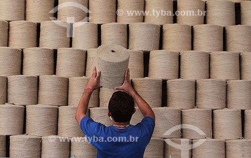  Subject: Textile industry Cooperfibras - Processing of Jute and Malva / Place: Manacapuru city - Amazonas state (AM) - Brazil / Date: 01/2012 