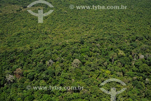  Subject: Aerial view of forest / Place: Iranduba city - Amazonas state (AM) - Brazil / Date: 11/2010 