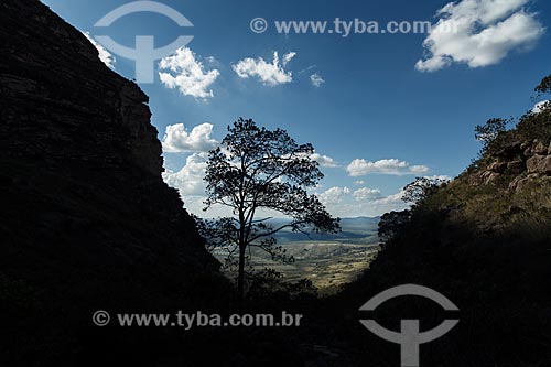  Subject: View of Chapada Diamantina from Capao-Guine track / Place: Bahia state (BA) - Brazil / Date: 01/2012 