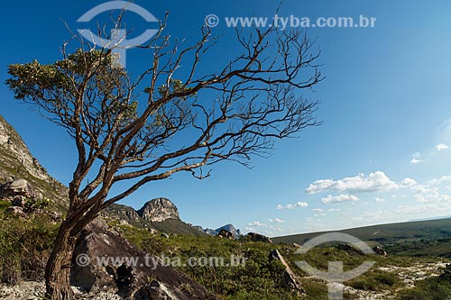  Subject: View of Chapada Diamantina from Capao-Guine track  / Place: Bahia state (BA) - Brazil / Date: 01/2012 