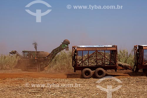  Subject: Mechanized harvesting of sugar cane for Cogeneration Plant (Sugar, ethanol and electric power) - Guarani company / Place: Olimpia city - Sao Paulo state (SP) - Brazil / Date: 09/2011 