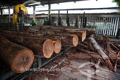  Subject: Wooden logs in Precious Woods Amazon  forestry / Place: Itacoatiara city - Amazonas state (AM) - Brazil / Date: 10/2011 