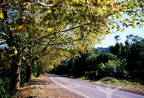  Subject: Road of Romantic Route in BR-116 / Place: Nova Petropolis city - Rio Grande do Sul state (RS) - Brazil / Date: 06/2010 