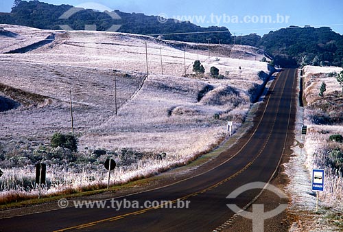  Subject: View of field with frost / Place: Rio Grande do Sul state (RS) - Brazil / Date: 07/2009 