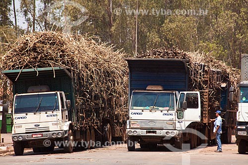  Subject: Sugar cane transport in Cogeneration Plant (sugar , ethanol and electric power) of Guarani company / Place: Olimpia city - Sao Paulo state (SP) - Brazil  / Date: 09/2011 