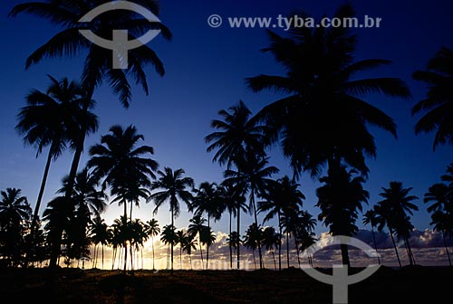  Subject: Sunset at Porto de Galinhas Beach / Place: Ipojuca city - Pernambuco state (PE) - Brazil / Date: 06/2010 