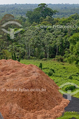  Subject: Courtyard of Precious Wood Amazon company / Place: Itacoatiara city - Amazonas state (AM) - Brazil / Date: 10/2011 