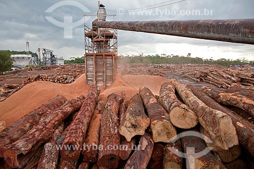  Subject: Courtyard with certified wood logs of Precious Wood Amazon company / Place: Itacoatiara city - Amazonas state (AM) - Brazil / Date: 10/2011 