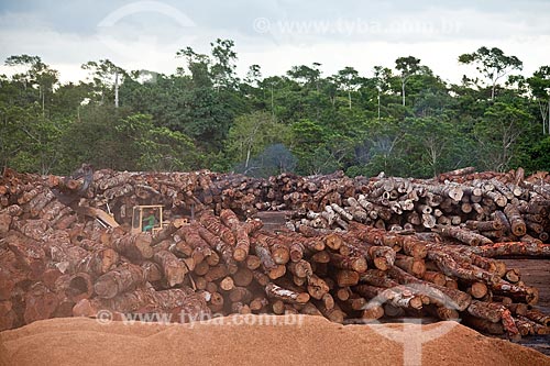  Subject: Courtyard with certified wood logs of Precious Wood Amazon company / Place: Itacoatiara city - Amazonas state (AM) - Brazil / Date: 10/2011 