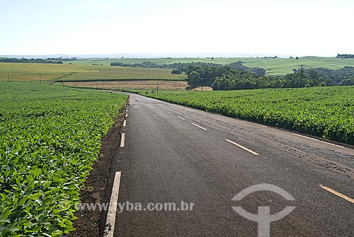  Subject: View of rural area - Stretch of highway BR-277 near the Cascavel city  / Place: Cascavel city - Parana state (PR) - Brazil / Date: 2009 