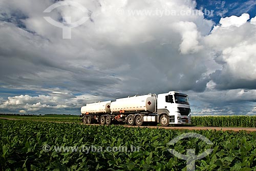  Subject: Fuel truck passing in soybean and  corn plantation - Stretch of highway BR-163 / Place: Rondonopolis city - Mato Grosso state (MT) - Brazil / Date: 2010 