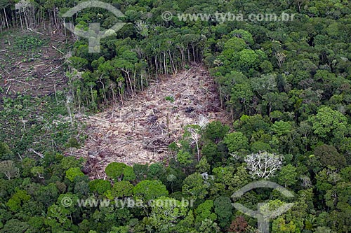  Subject: Aerial view of deforested area nexto to riverine community of Terra Nova / Place: Amazonas state (AM) - Brazil / Date: 10/2011 