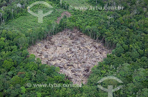  Subject: Aerial view of deforested area next to riverine community of Bom Jesus do Puduari / Place: Novo Airao city - Amazonas state (AM) - Brazil / Date: 10/2011 