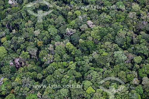  Subject: Aerial view of Amazon Forest in the riverine community of Bom Jesus do Puduari / Place: Novo Airao city - Amazonas state (AM) - Brazil / Date: 10/2011 