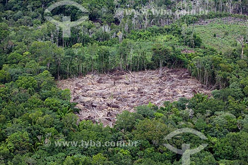  Subject: Aerial view of deforested area next to riverine community of Bom Jesus do Puduari / Place: Novo Airao city - Amazonas state (AM) - Brazil / Date: 10/2011 