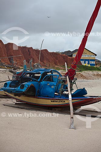  Subject: Scrap of Beetle upon a raft on the Canoa Quebrada beach  / Place: Aracati city - Ceara state (CE) - Brazil / Date: 11/2011 