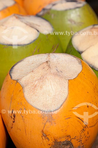  Subject: Coconut / Place: Olinda city - Pernambuco state (PE) - Brazil / Date: 11/2011 