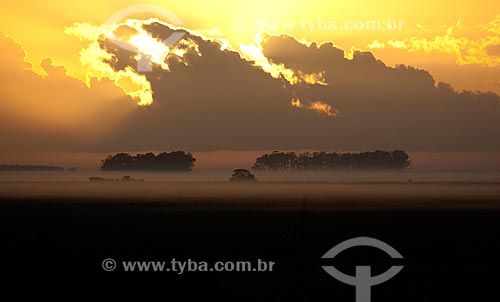  Subject: View of gaucha landscape at dawn / Place: Pelotas city - Rio Grande do Sul state (RS) - Brazil / Date: 02/2012 