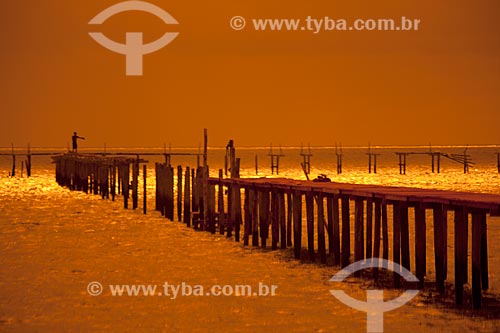  Subject: Pier in Laranjal Beach - Patos Lagoon / Place: Pelotas city - Rio Grande do Sul state (RS) - Brazil / Date: 02/2012 