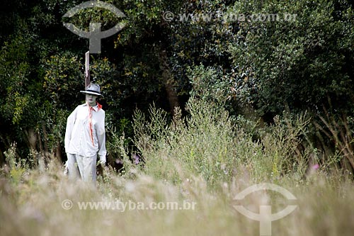  Subject: Scarecrow in plantation of rice in Laranjal / Place: Pelotas city - Rio Grande do Sul state (RS) - Brazil / Date: 02/2012 