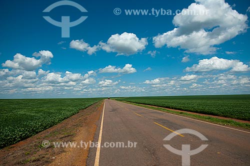  Subject: View of State Highway MT-299 between soybeans planting / Place: Rondonopolis city - Mato Grosso state (MT) - Brazil / Date: 12/2011 