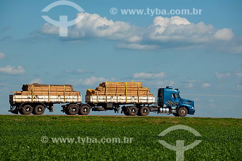  Subject: Truck transporting wood passing in soybean planting - Stretch of highway BR - 153 / Place: Rondonopolis city - Mato Grosso state (MT) - Brazil / Date: 12/2011 