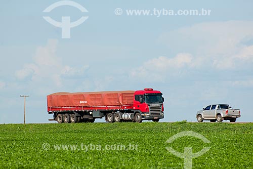  Subject: Grain truck passing in soybean planting - Stretch of highway BR - 153 / Place: Rondonopolis city - Mato Grosso state (MT) - Brazil / Date: 12/2011 
