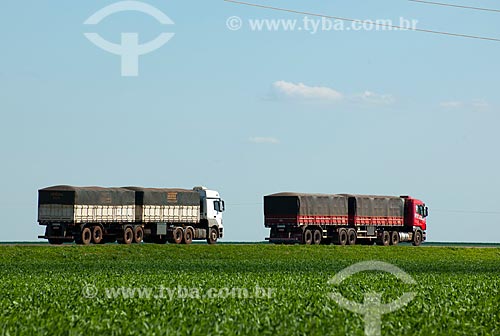  Subject: Grain trucks passing in soybean planting - Stretch of highway BR - 153 / Place: Rondonopolis city - Mato Grosso state (MT) - Brazil / Date: 12/2011 