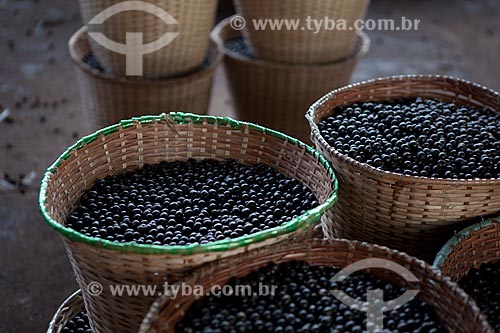  Subject: Baskets with Acai fruit in the Santana market (Beirada de Santana) / Place: Santana city - Amapa state (AP) - Brazil / Date: 04/2012 