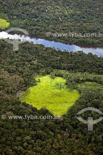  Subject: Aerial view of Amazon Forest with clearing in the center / Place: Amapa state (AP) - Brazil / Date: 04/2012 