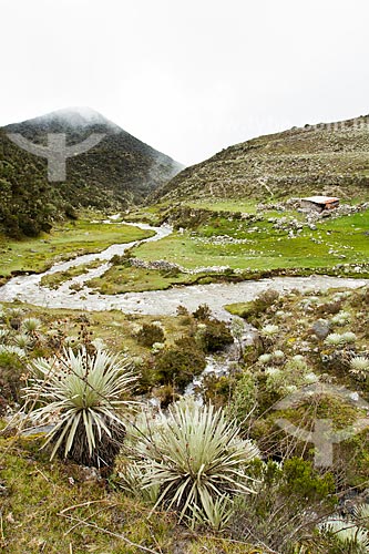  Subject: La Culata River in Sierra de la Culata National Park / Place: Merida city - Merida state - Venezuela - South America / Date: 05/2012 