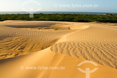  Subject: Medanos Blancos (White Dunes) in Paraguana Peninsula - Point the most northern in Venezuela / Place: Falcon city - Falcon state - Venezuela - South America / Date: 05/2012 
