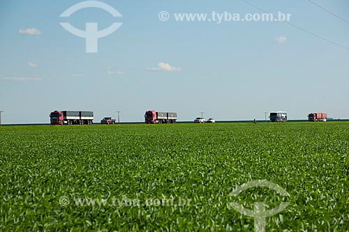  Subject: Grain trucks passing in soybean planting  -  Stretch of highway BR-153 / Place: Rondonopolis city - Mato Grosso state (MT) - Brazil / Date: 12/2011  