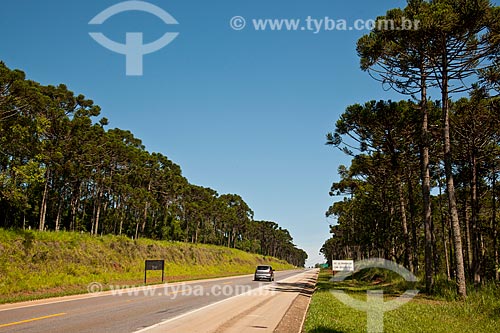  Subject: Engenheiro Lauri Simoes de Barros Highway / Place: Campina do Monte Alegre city - Sao Paulo state (SP) - Brazil / Date: 01/2012 