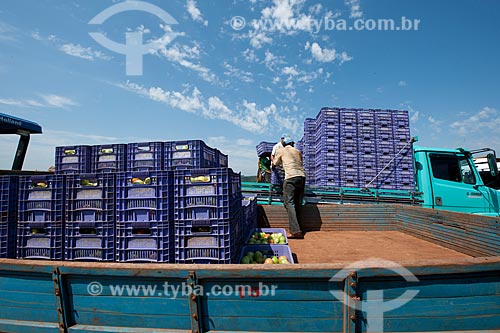  Subject: Loading of tomato in rural zone of Taquarivai city / Place: Taquarivai city - Sao Paulo state (SP) - Brazil / Date: 01/2012 