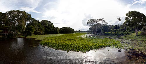  Subject: Environment Area Protection of Curiau River - Lake rfeled by natural channels of the Amazon River / Place: Macapa city - Amapa state (AP) - Brazil / Date: 04/2012 