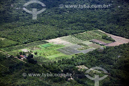  Subject: Aerial view of agriculture in the Amazon Forest / Place: Porto Grande city - Amapa state (AP) - Brazil / Date: 04/2012 
