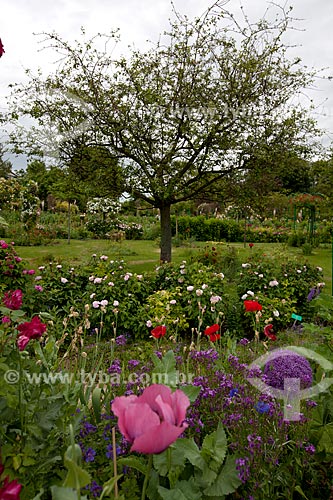  Subject: View of the Garden of Claude Monet / Place: Giverny - France - Europe / Date: 06/2012 