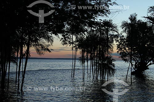  Subject: Negro River seen from the of Ponta Negra beach / Place: Manaus city - Amazonas state (AM) - Brazil / Date: 06/2012 