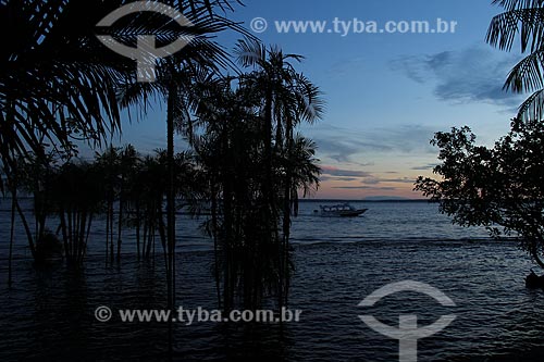  Subject: Negro River seen from the of Ponta Negra beach / Place: Manaus city - Amazonas state (AM) - Brazil / Date: 06/2012 