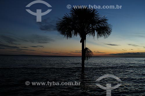  Subject: Negro River seen from the of Ponta Negra beach / Place: Manaus city - Amazonas state (AM) - Brazil / Date: 06/2012 