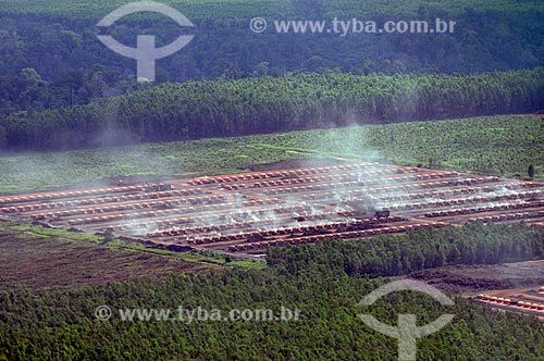 Subject: Charcoal ovens. / Place: Acailandia city - Maranhao state (MA) - Brazil / Date: 05/2012 