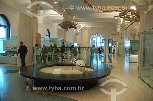  Subject: American Museum of Natural History / Place: New York city - United States of America - USA / Date: 12/2008 