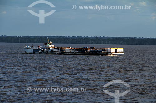  Subject: Ferry transporting cattle in the Amazon River between the towns of Itacoatiara and Parintins / Place: Itacoatiara city - Amazonas state (AM) - Brazil / Date: 06/2012 