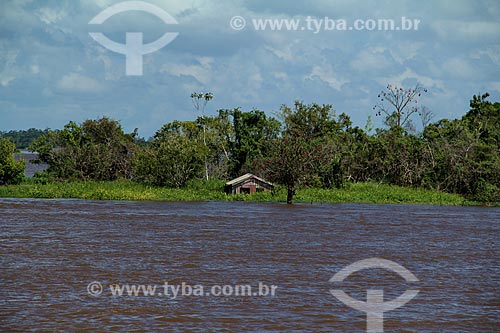  Subject: House in the Amazon River in the flooding season between the towns of Itacoatiara and Parintins / Place: Itacoatiara city - Amazonas state (AM) - Brazil / Date: 06/2012 